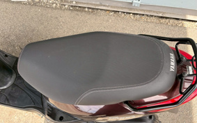 YAMAHA AKUSHI STREET SE53J