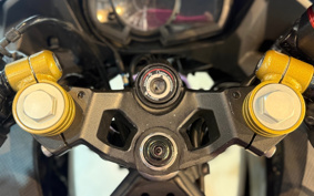 KAWASAKI NINJA 250 EX250P