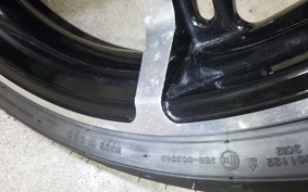 HARLEY FLTRX1920 2024