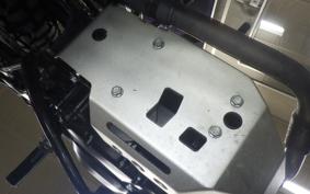 OTHER MUTT250 2024
