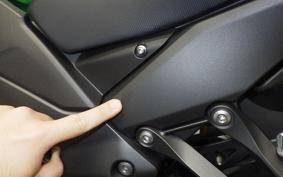 KAWASAKI NINJA 1100SX SE 2025 ZXT10H