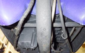 HONDA TODAY 2020 AF61