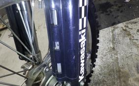 KAWASAKI KLX250 LX250E