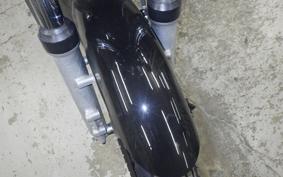 KAWASAKI Z900 2024 Z1F