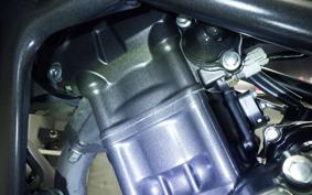 HONDA CB250R 2021 MC52