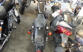 HARLEY XL883N