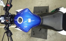 SUZUKI ｼﾞｸｻｰ250 2001 ED22Y