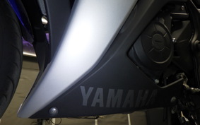 YAMAHA YZF-R25 2007 RG10J