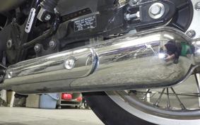 KAWASAKI W800 2021 EJ800B