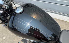 HARLEY FXBRS 2022 YHK