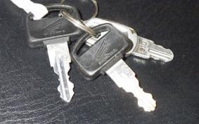 HONDA GYRO CANOPY 2024 TA03