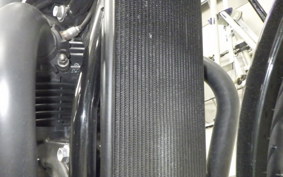 TRIUMPH BONNEVILLE T120 2022