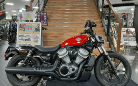 HARLEY HARLEY RH975 NIGHT  STAR 2023 ZH1