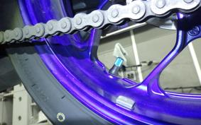 YAMAHA YZF R-3 2024 RH21J