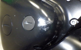 KAWASAKI W800 CAFE 2022 EJ800E