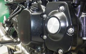 KAWASAKI Z900RS 2020 ZR900C