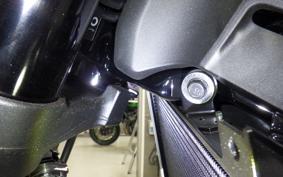 KAWASAKI Z900RS 2025 ZR900K