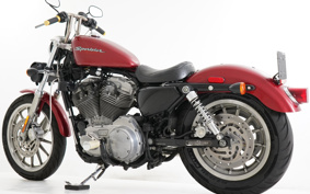 HARLEY XL883 2004 CAM
