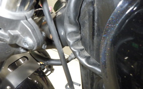 HONDA ﾊｲﾈｽCB350 2022