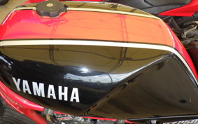 YAMAHA RZ250R 29L