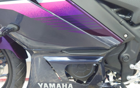 YAMAHA YZF-R25 RG74J
