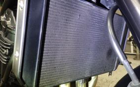 KAWASAKI Z900RS CAFE 2021 ZR900C