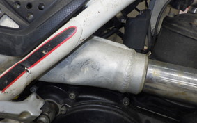 OTHER +ｼｪﾙｺST250 2026