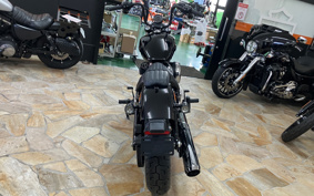 HARLEY  HARLEY FXBB 2025 YJ9