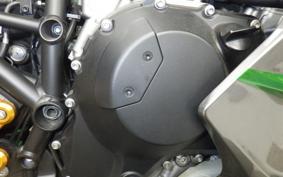 KAWASAKI NINJA H2 SX SE 2019