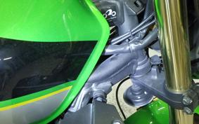 KAWASAKI ZRX1200 D 2015 ZRT20D