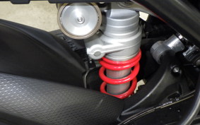 BMW S1000RR M DDC 2024