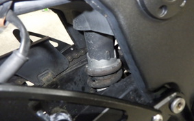 KAWASAKI NINJA 250R 2023 EX250K