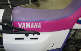 YAMAHA TT250R RAID 1997 4GY