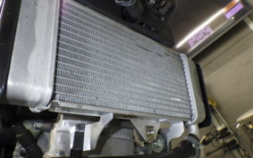 YAMAHA XSR125 2024 RE46J