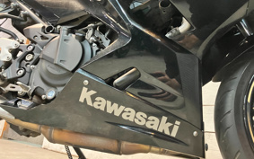 KAWASAKI NINJA 400 2019 EX400G