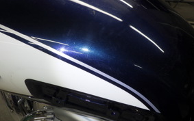 KAWASAKI W800 2016 EJ800A