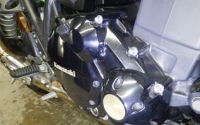 KAWASAKI ZRX1200 D 2017 ZRT20D