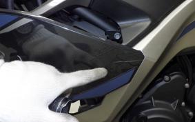 KAWASAKI NINJA 250 2023 EX250Y