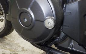 HONDA HAWK 11 2024 SC85