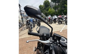 TRIUMPH TIGER SPORT 660 2025 L22U18