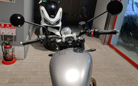 TRIUMPH TRIUMPH  SPEED  TWIN 900 2025 DPOG26