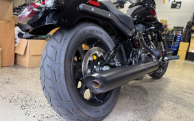 HARLEY FXLRS 2025 YWA
