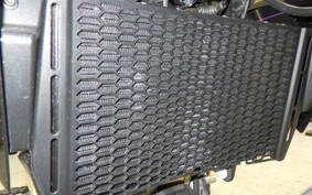 DUCATI HYPERMOTARD698モノ 2024