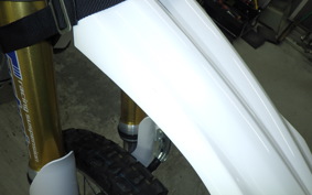 YAMAHA WR250R 2023 DG15J