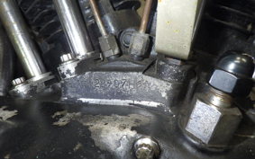 OTHER +UNREGISTERED MODEL by BDS1000 2025