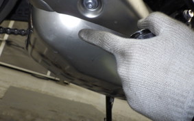 TRIUMPH TRIDENT 660 2024