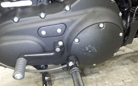 HARLEY XL1200NS 2021