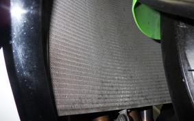 KAWASAKI NINJA ZX-6R A 2021