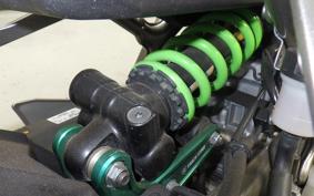 KAWASAKI ZX-4RR 2024 ZX400P