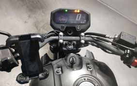 YAMAHA FZ-X RG73